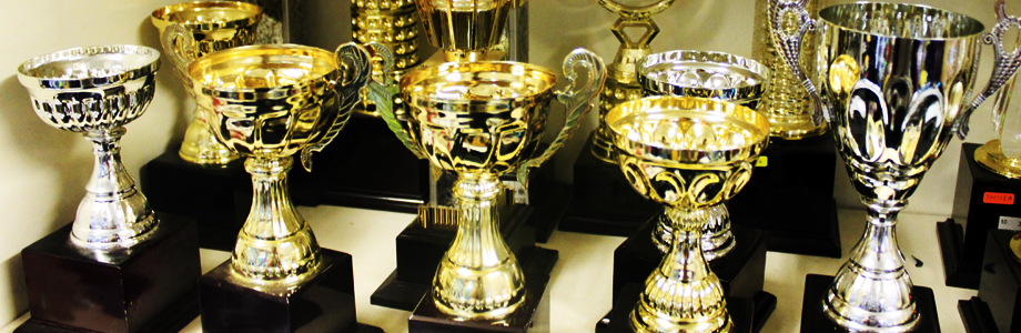 Sony Unveils 3D Camcorders, Big and Small